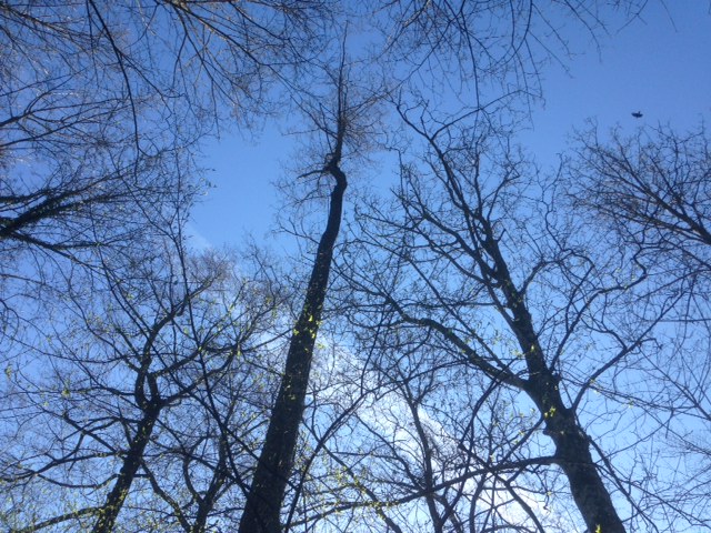 22A217AF-A65E-49D0-A0D0-36C4FBCB02DA