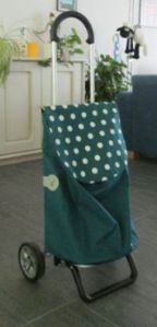 13925384_10207050132068076_152029257782010908_n